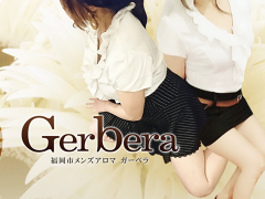 Gerbera